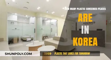 Exploring Korea's Plastic Surgery Scene: A Comprehensive Guide to Clinics