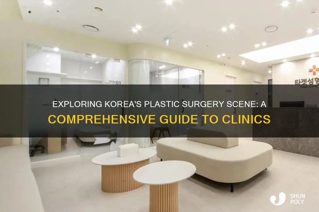 how many plastic surgeries places are in korea