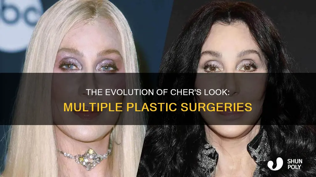 how many plastic surgeriez has cher had