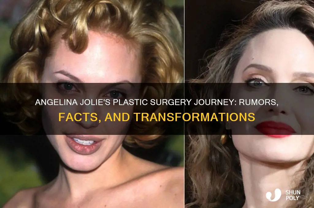 how many plastic surgery did angelina jolie have