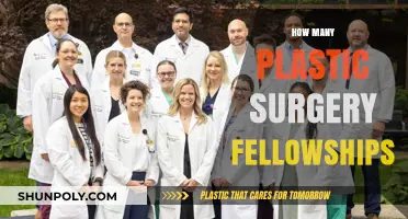Exploring the Availability of Plastic Surgery Fellowships Globally