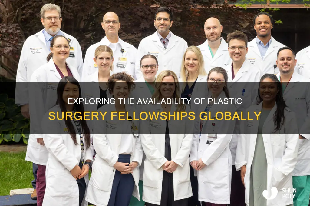 how many plastic surgery fellowships