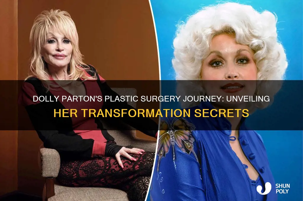 how many plastic surgery has dolly had
