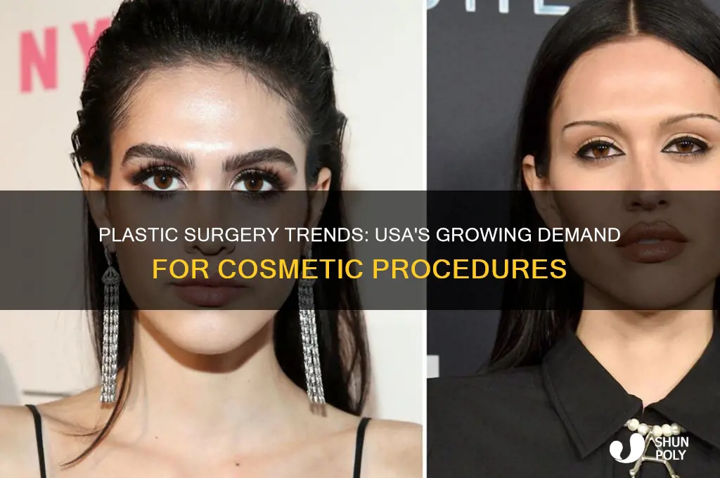 how many plastic surgery in usa