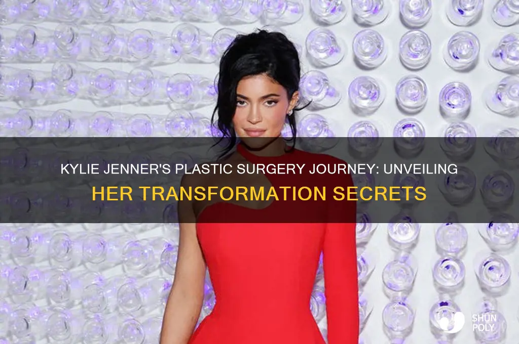 how many plastic surgery kylie did
