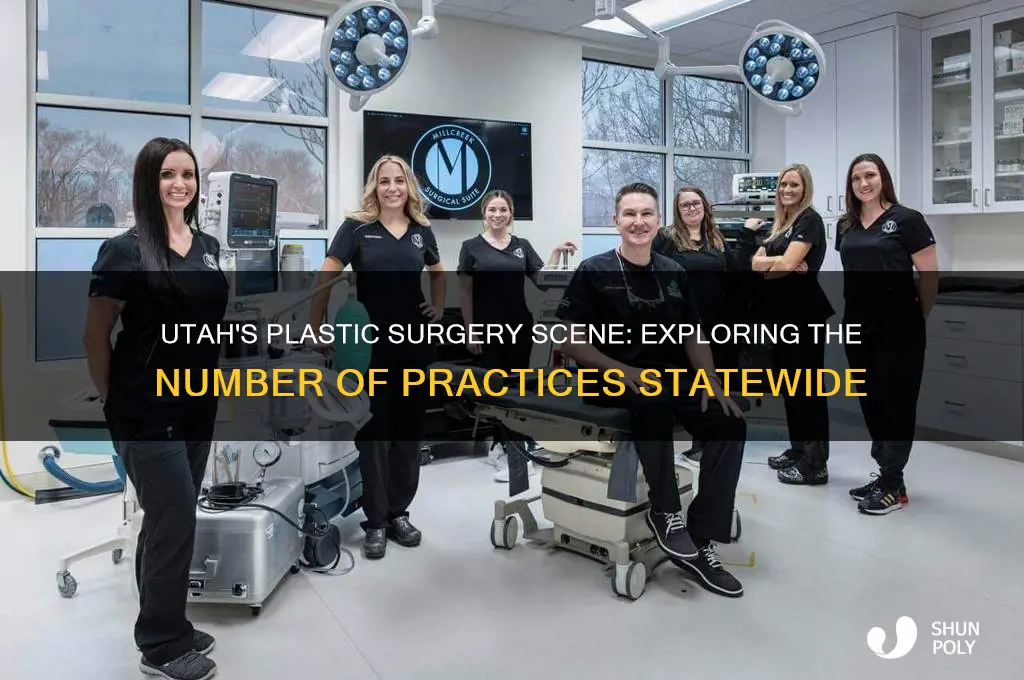 how many plastic surgery practices are there in utah