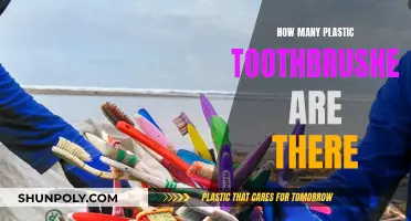 Plastic Toothbrushes: A Global Environmental Concern