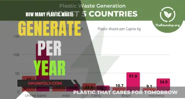 Plastic Pollution: The Annual Global Crisis