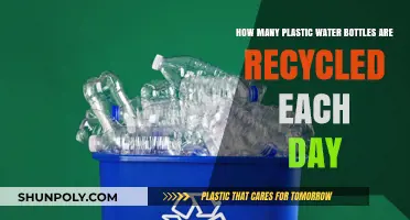 Daily Plastic Bottle Recycling: Unveiling the Global Environmental Impact