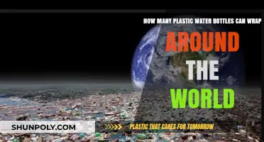 Plastic Bottles Around the World: A Shocking Environmental Wrap
