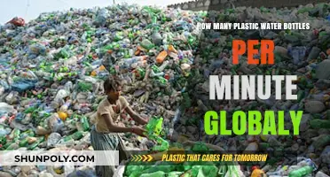 Global Plastic Bottle Consumption: A Minute-by-Minute Environmental Crisis