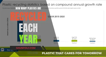 The Reality of Plastic Recycling: An Annual Overview