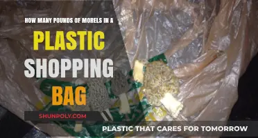 Morel Mushroom Harvest: How Many Pounds Fit in a Plastic Bag?