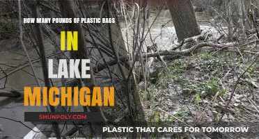 Alarming Plastic Bag Pollution in Lake Michigan: Pounds and Impact