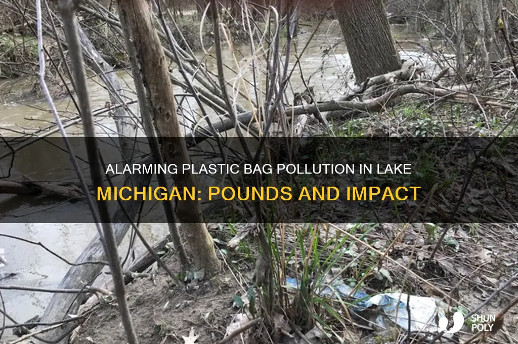 how many pounds of plastic bags in lake michigan