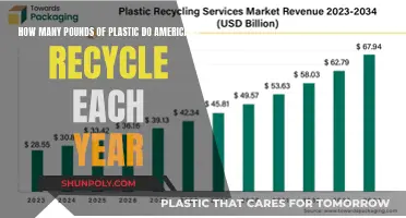 Americans' Recycling Habits: Unveiling the Plastic Poundage