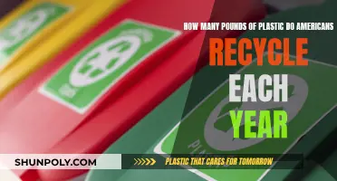 Americans' Annual Plastic Recycling Efforts: How Much?