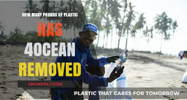 4Ocean's Impact: Pounds of Plastic Removed from Oceans Revealed