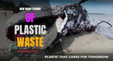 Plastic Pollution: Pounds of Waste and Counting