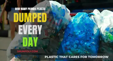 Plastic Pollution: Our Daily Dumping Disaster