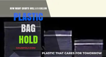 Converting Gallons to Quarts: How Much Fits in a 5-Gallon Bag?