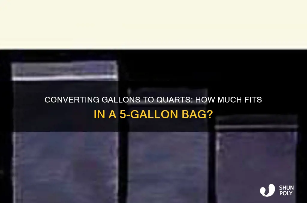 how many quarts will a 5 gallon plastic bag hold