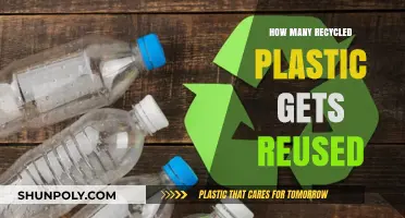 Unveiling the Truth: Recycled Plastic's Reuse and Sustainability Journey