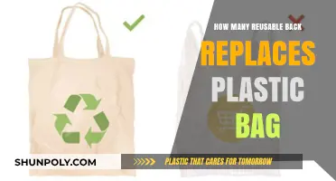 Reusable Bags: A Sustainable Alternative to Plastic Shopping Bags