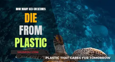 Plastic's Deadly Impact on Sea Life