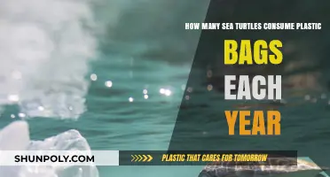 Sea Turtles and Plastic: Annual Bag Consumption Revealed