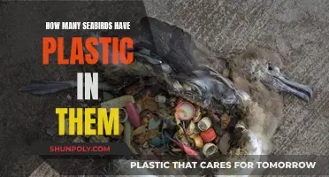 Plastic in Seabirds: An Alarming Reality