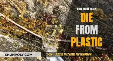 Plastic Pollution: A Deadly Threat to Seals