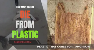 Sharks' Plastic Peril: An Environmental Disaster