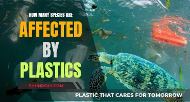Plastic's Impact: Species Affected and Counting