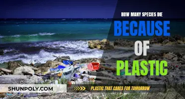 Plastic's Deadly Toll on Species