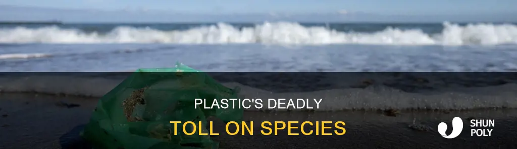 how many species die because of plastic