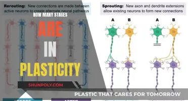 Exploring Plasticity's Many Stages