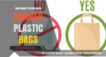 States Banning Plastic Bags: A Growing Trend in America