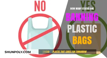 States Taking Action: The Growing Ban on Plastic Bags