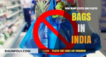 India's Plastic Bag Bans: Which States Have Taken Action?