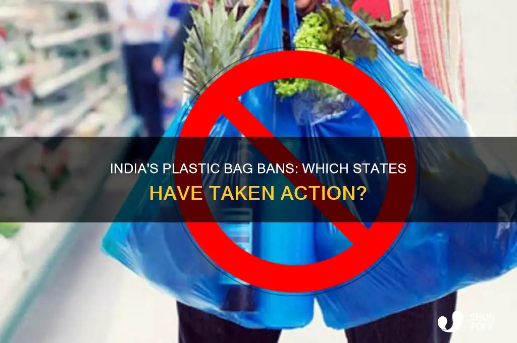 how many states ban plastic bags in india