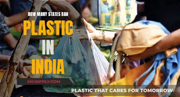 Plastic Bans Across India: How Many States Affected?
