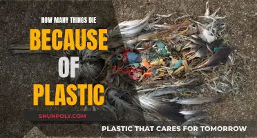 Plastic's Deadly Impact: Counting Casualties