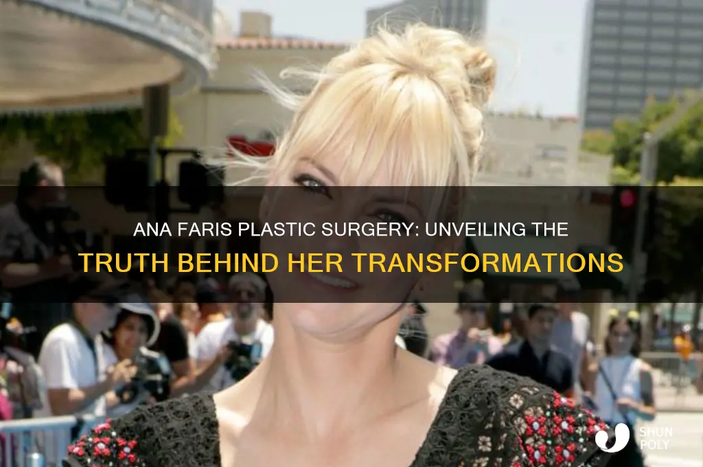 how many times has ana faris had plastic surgery