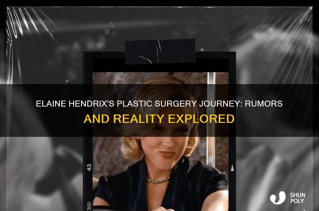 how many times has elaine hendrix had plastic surgery