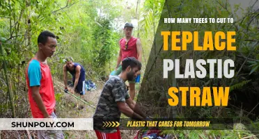 Replacing Plastic Straws: The Surprising Number of Trees Needed