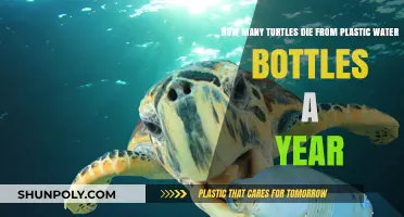 Plastic Water Bottles: A Deadly Threat to Turtles Annually
