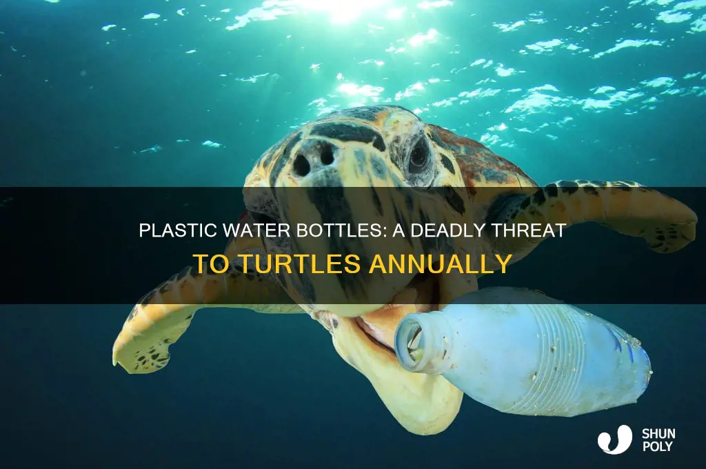 how many turtles die from plastic water bottles a year