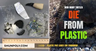 Plastic Pollution: Killing Turtles, Destroying Marine Life