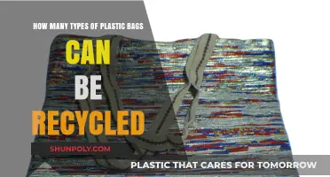 Recycling Plastic Bags: Understanding the Types That Can Be Reused